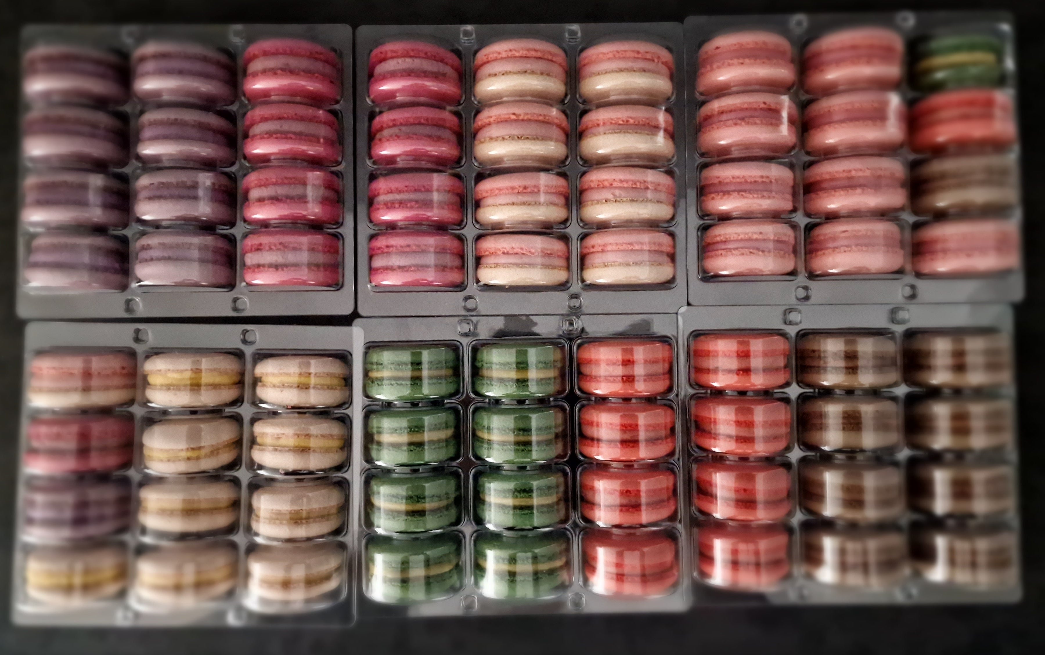 12 x Palette de Macarons