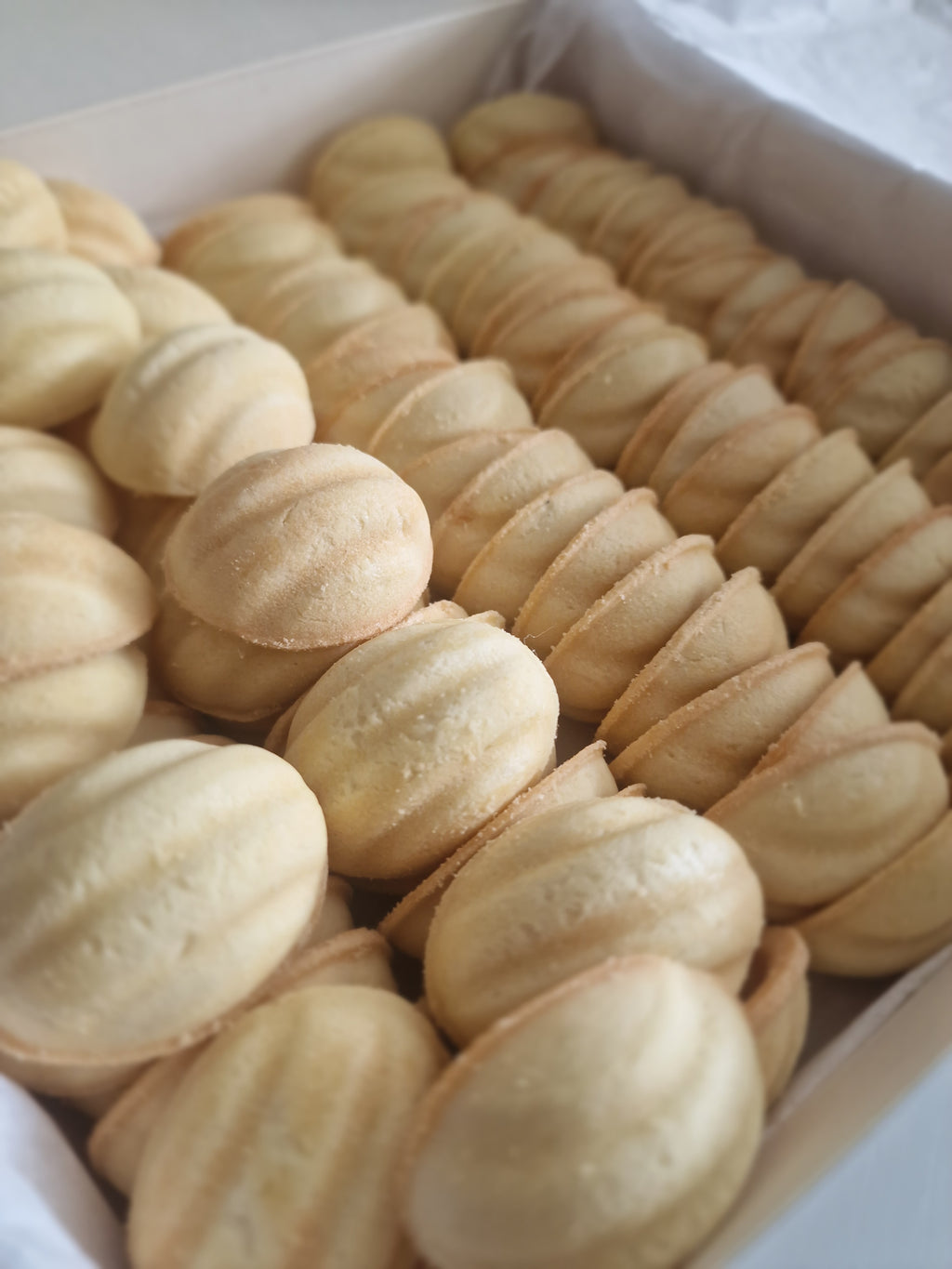 600 gram ( ongeveer 58-60 setjes) ongevulde Nut Shells XL BOX